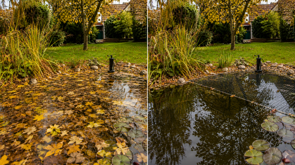 Gartenteich vor und nach dem Entfernen von Herbstlaub
