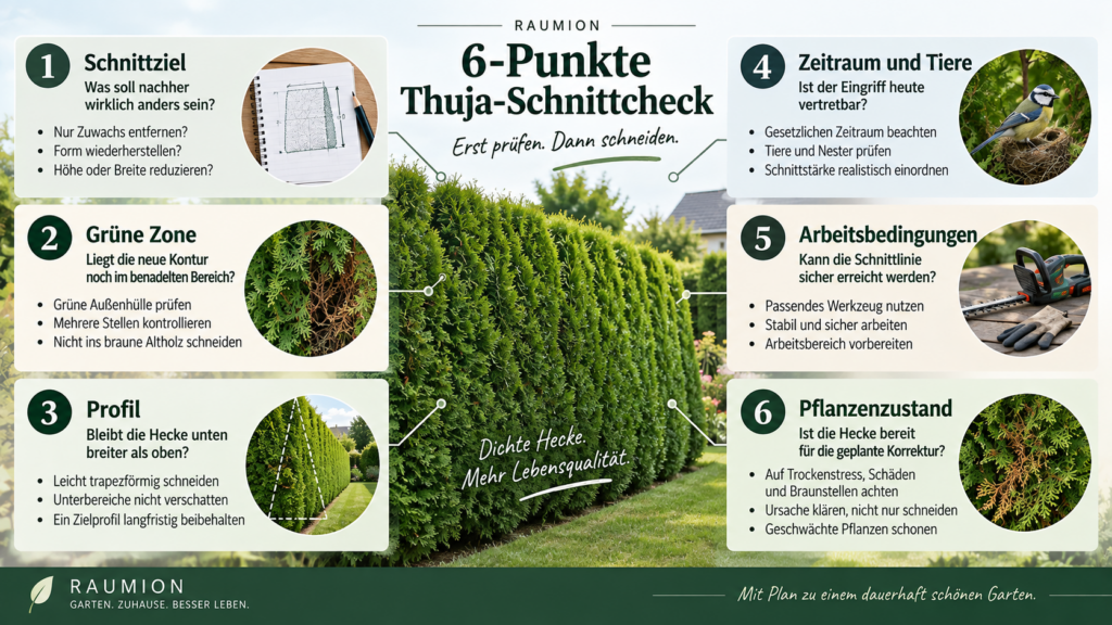 RAUMION 6-Punkte-Thuja-Schnittcheck